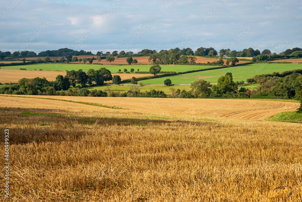 Gloucestershire, England, UK. 2021. Late summer landscape view over farmland in the Cotswolds with stubble in the foreground.