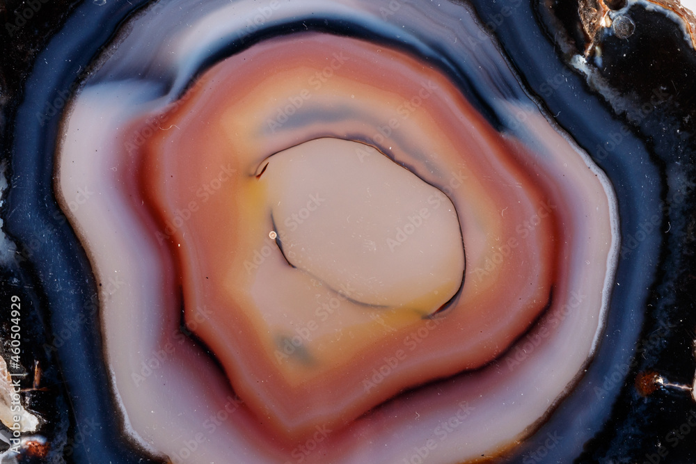 Obraz premium Macro mineral stone Yellow, brown Agate breed a white background close up