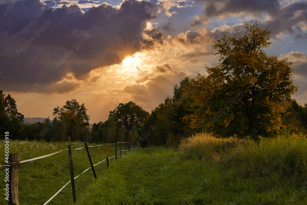 Countryside road PL
