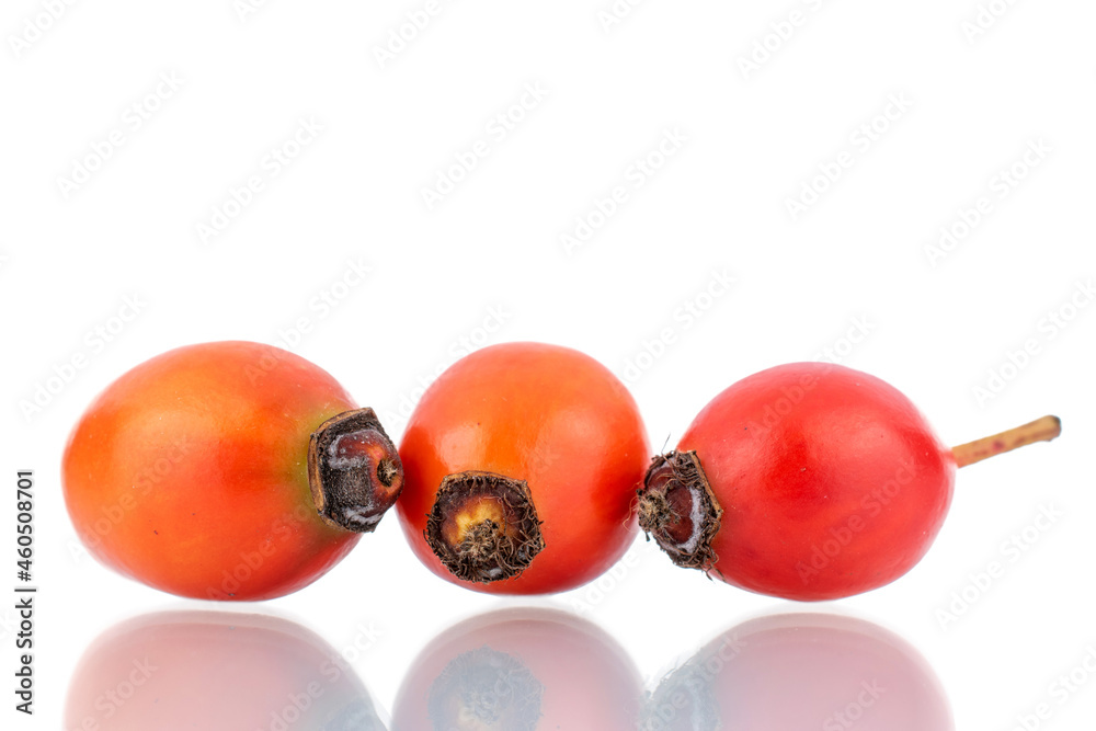 Three bright red ripe wild rose berries, close-up, isolated on white. Three bright red ripe wild rose berries, close-up, isolated on white.