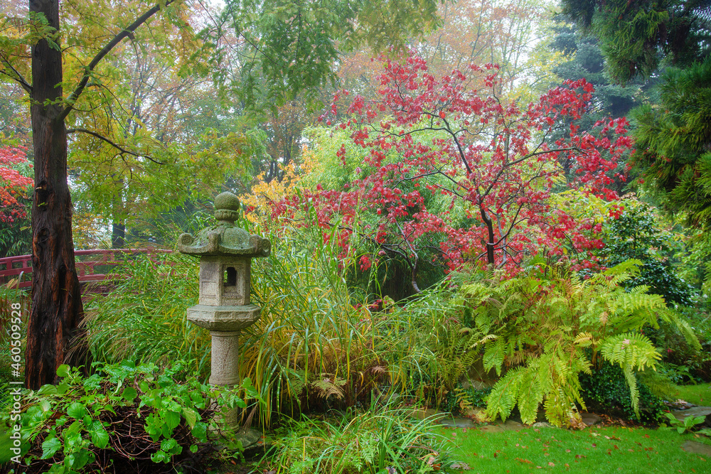 Amazing autumn in the Japanese garden of Leverkusen. Red leaves of Japanese maple and some kind of building that looks like a pagoda. Amazing autumn in the Japanese garden of Leverkusen. Red leaves of Japanese maple and some kind of building that looks like a pagoda.