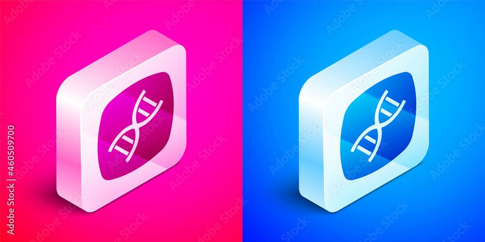 Isometric DNA symbol icon isolated on pink and blue background. Silver square button. Vector Isometric DNA symbol icon isolated on pink and blue background. Silver square button. Vector