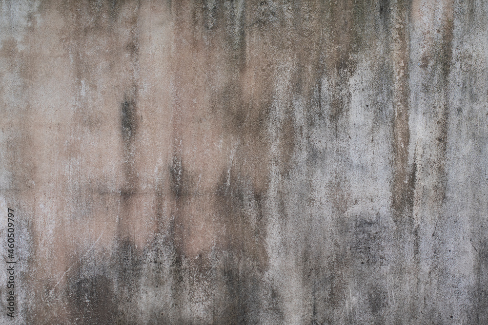 Fototapeta premium stone texture for backgrounds image photo stock