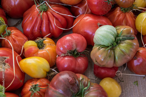 Variety old organic tomatoes on a market