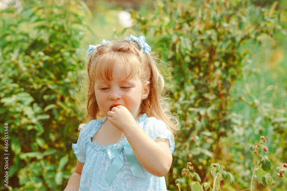 child in the garden with berries child in the garden with berries