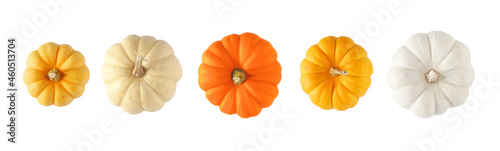 Variety of autumn pumpkins, top view isolated on a white background. Assorted shades of orange and white.