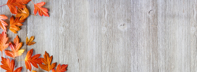 Fall leaves corner border over a rustic grey wood banner background. Top down view with copy space.