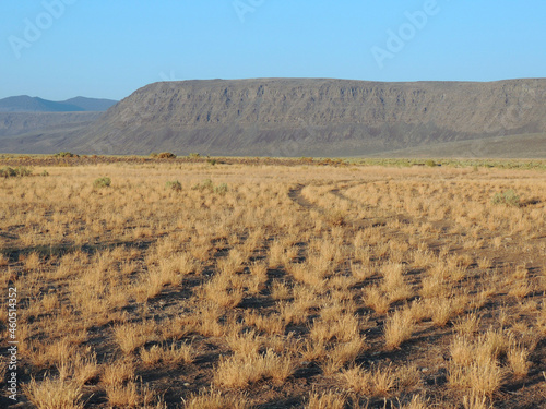 Eastern Oregon High Desert