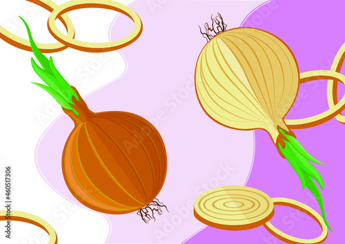 vector image fresh seasonal vegetables onion and onion in the section