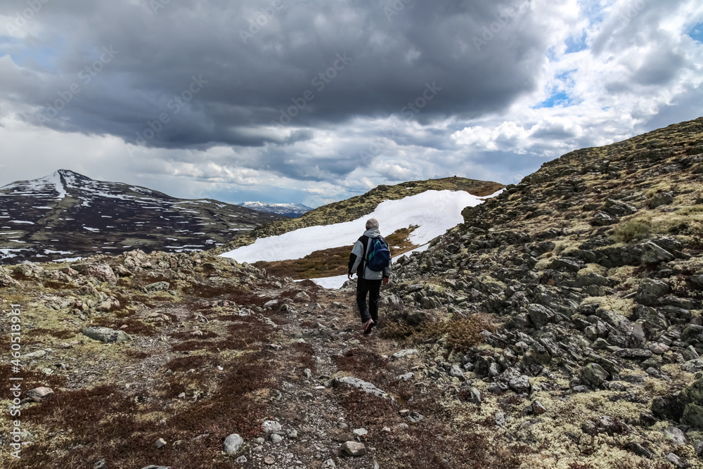 hiker on the top of mountain Rondane, Norway