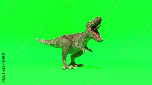 Tyrannosaurus dinosaur species. Trenosaurus screams and ready to attack. Green screen chromakey. Seamless loop 3d render photo