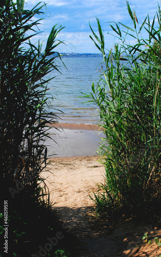 The path to the river