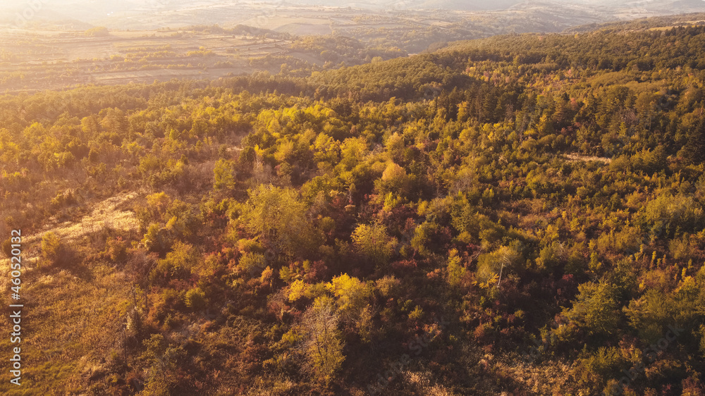 Beautiful wilderness area in sunset, aerial view from above