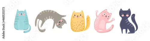 Obraz Set of cute cats in flat style, illustrations for kids, vector EPS 10