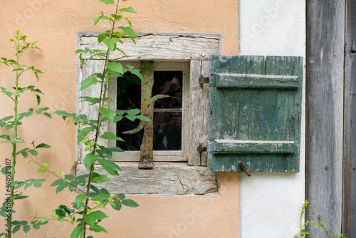 Altes Hausfenster