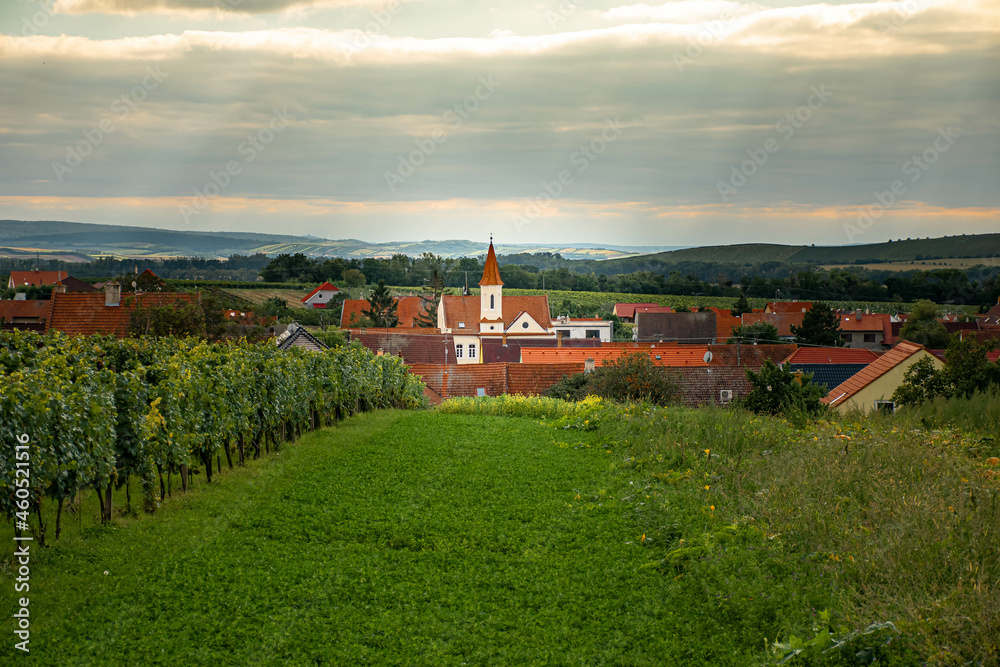 clock tower in a small town in the Czech Republic, vineyard, beautiful Czech landscape, grape harvest, hills in southern moravia in perna