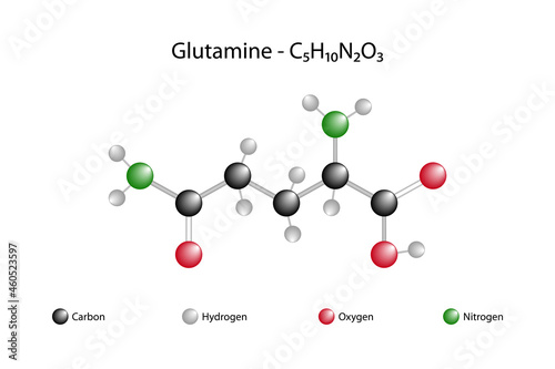 Molecular formula of glutamine. Glutamine is one of the 20 amino acids that make up proteins.