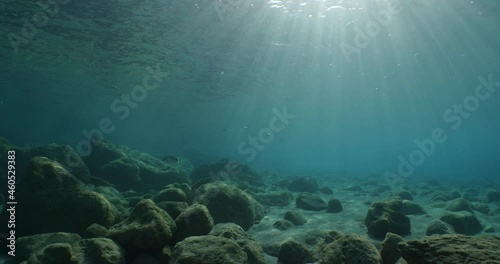 Wallpaper Mural underwater scenery with sun beams and rays blue ocean relaxing scenery Torontodigital.ca
