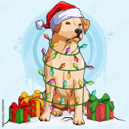 Labrador dog in Santa hat sitting and surrounded by Christmas tree lights and gifts on his sides