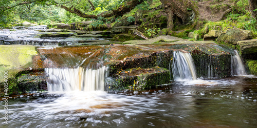 Fototapeta Naklejka Na Ścianę i Meble -  Small waterfalls over rocks in a woodland stream