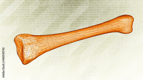 3D wireframe of a human bone on binary background. 3D illustration.