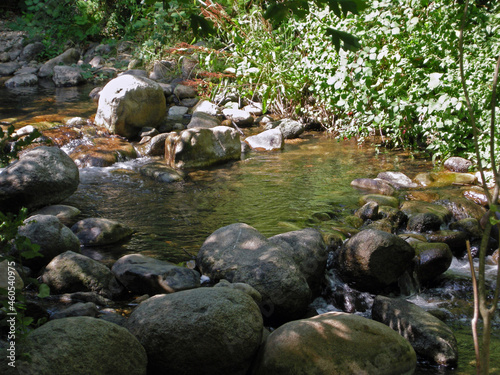 Ashland Creek in Oregon