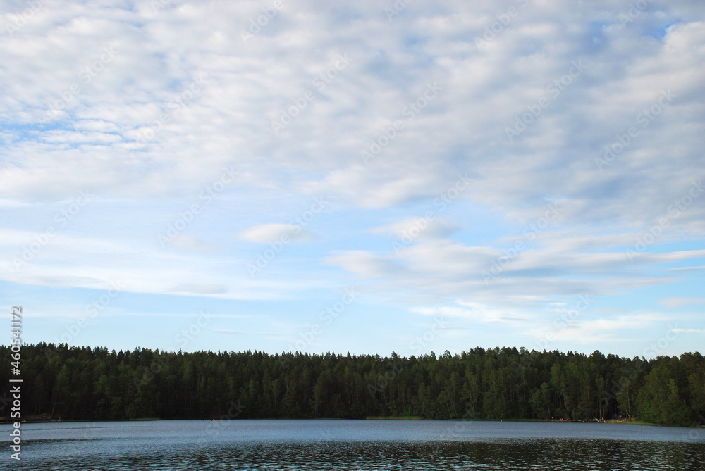 Green forest by the lake. the surface of the lake water with fine ripples, on the other side of the almost solid wall stands a green coniferous forest. Above it is a blue sky and white cumulus clouds.