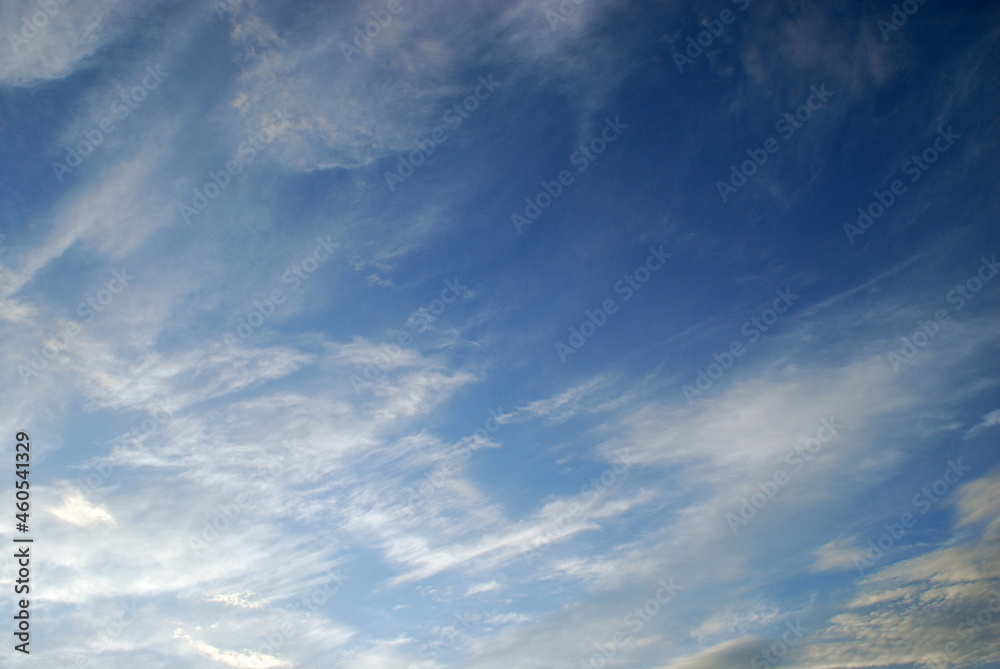 Snow-white clouds on a blue sky background. On a summer day, feathery fluffy clouds of various shapes and sizes slowly float across the light blue sky.