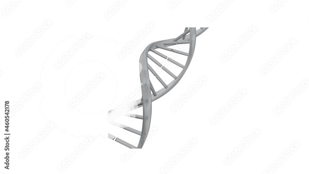 Animation of dna strand and shapes on white background Animation of dna strand and shapes on white background