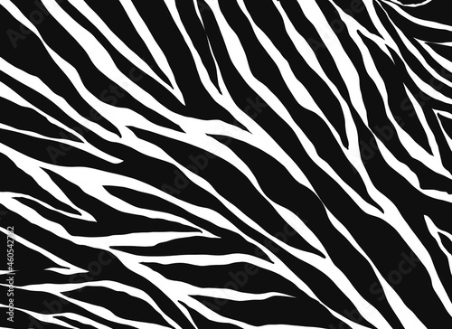 zebra pattern. Animals nature  background