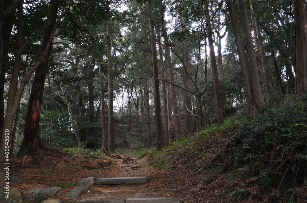 大宰府 大宰府