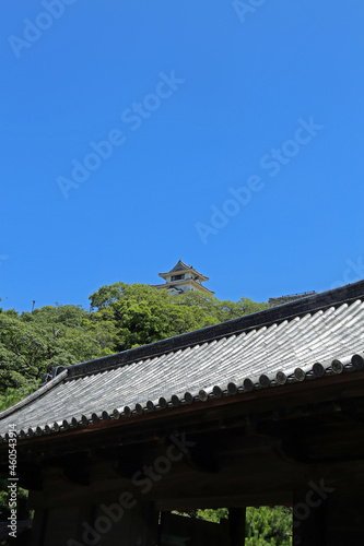 初夏の丸亀城