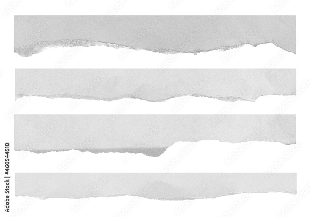 ripped paper on white background and have copy space for design in your work ripped paper on white background and have copy space for design in your work