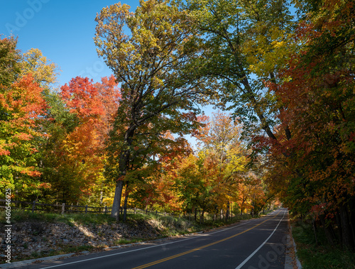 Autumn street or road or lane with colorful leaves and blue sky on a sunny morning. The asphalt highway and wooden fence are mostly shadded by the tall trees.