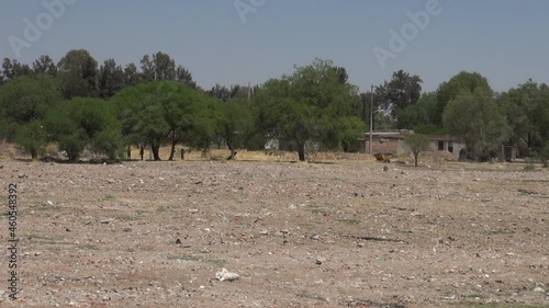 Rural Landscape with Trees and Empty Land


