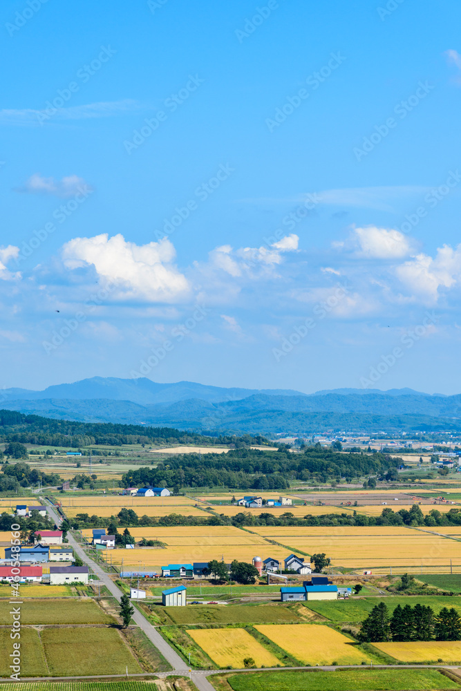萌の丘 素晴らしい道央の穀倉地帯を望む Stock Photo Adobe Stock 萌の丘 素晴らしい道央の穀倉地帯を望む Stock Photo Adobe Stock