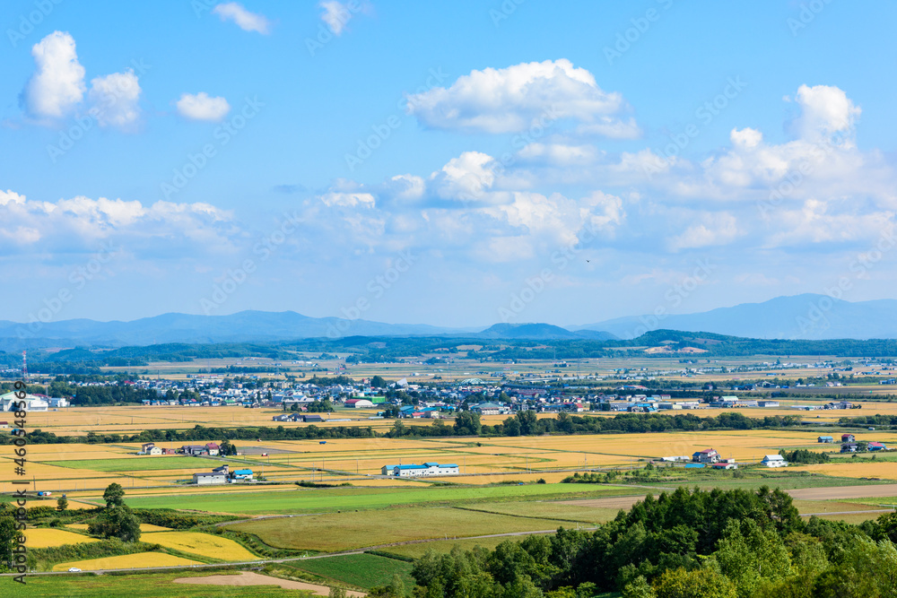 Obraz premium 萌の丘 素晴らしい道央の穀倉地帯を望む