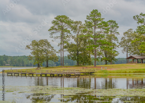 Εκτύπωση καμβά View of Geiger Lake in the wilderness of Pine Belt Region of Hattiesburg, Missis