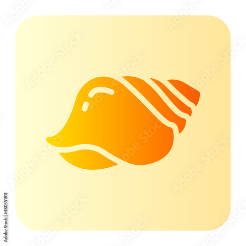 conch gradient icon