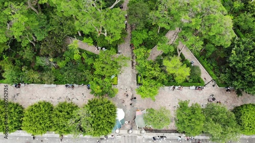 Toma aérea de jardín, vista de pájaro