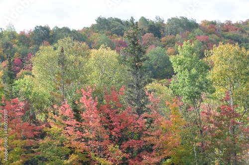 The Laurentides region of Quebec