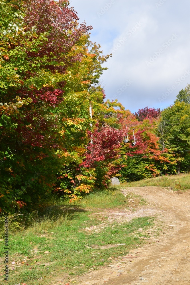Naklejka premium The Laurentides region of Quebec