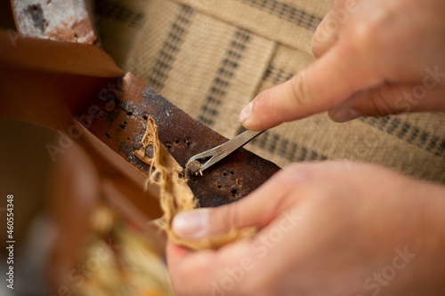 A close up of upholsterer's hands removing antique upholstery nails. Restoration of an antique chair. photo