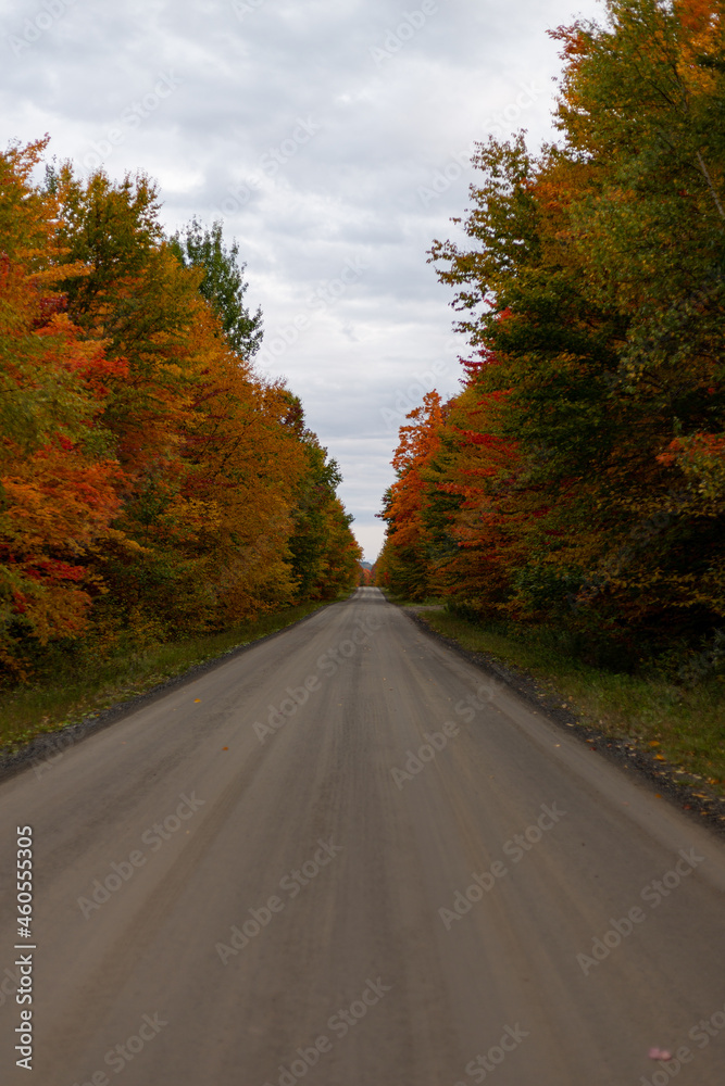Route Québécoise en automne Route Québécoise en automne