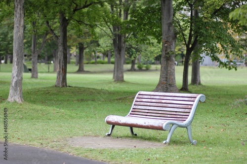 公園の中のベンチ