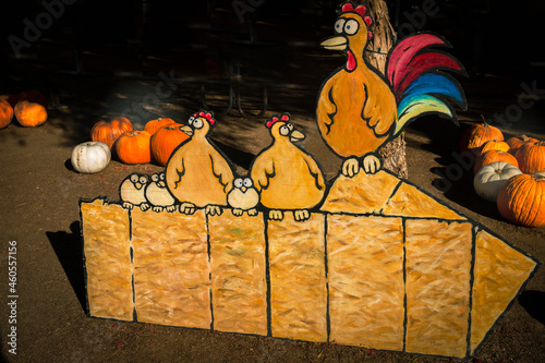 Chicken art surrounded by Pumpkins