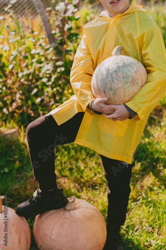 boy in a yellow raincoat holds a large pumpkin in his hands on the street. Preparing for Halloween. Fair for the harvest of vegetables. The child helps in the village.