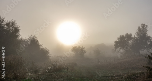 Early autumn morning with sun and fog in the steppe.