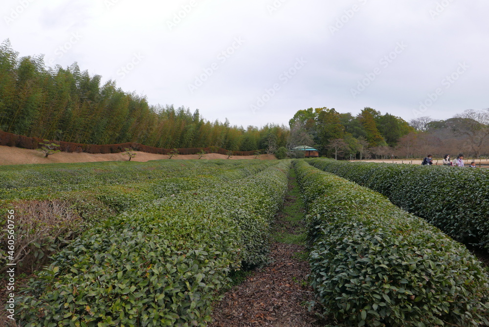 Obraz premium 後楽園