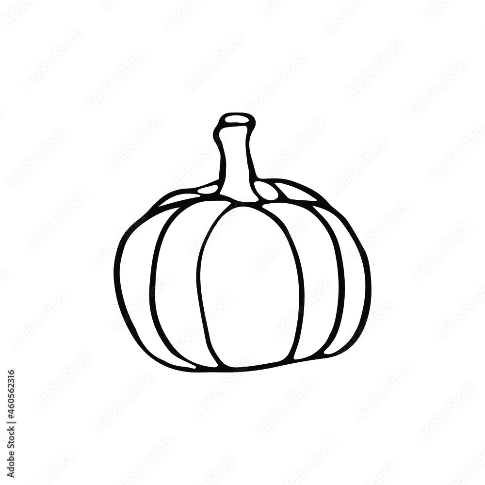Sketch of a pumpkin. Vector element for Halloween design. Sketch of a pumpkin. Vector element for Halloween design.